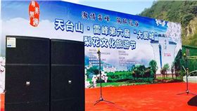 浙江舞臺音響設備 雙15寸舞臺音箱