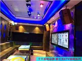 【爵士龍】影響專業(yè)音響系統(tǒng)音質音色的幾大因素(三)