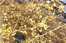 2017年花都區工商聯通訊員(韶關學院)培訓班