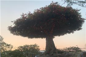 爵士龍戶外音響系統護航廈門某城市公園煥新