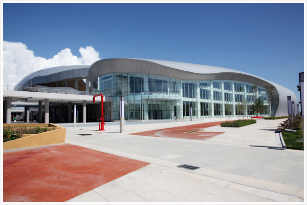 爵士龍案例-錫林體育館