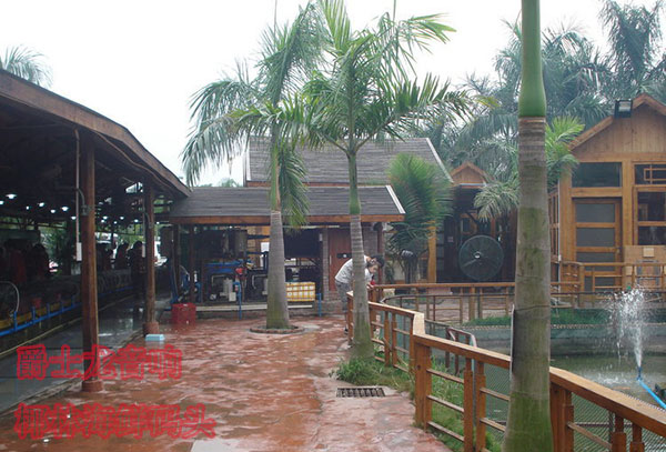 爵士龍舞臺演出音響4