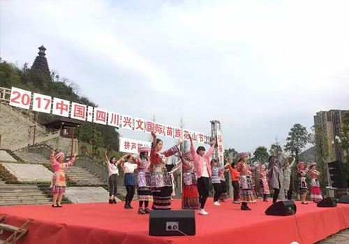 爵士龍音響廠家 專業生產舞臺音響設備