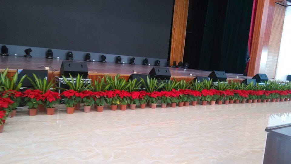 中山市卓雅外語學校