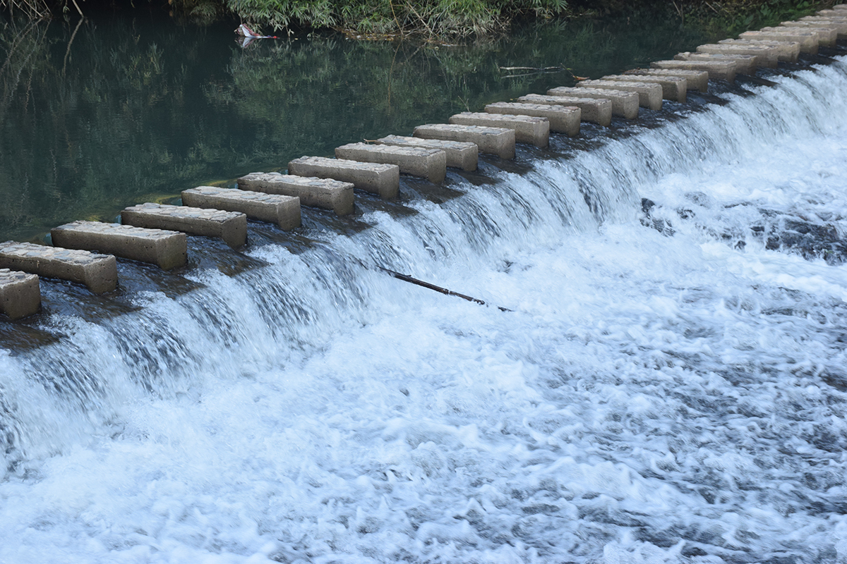 2017年花都區工商聯通訊員(韶關學院)培訓班