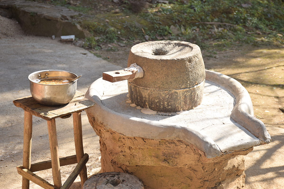 2017年花都區工商聯通訊員(韶關學院)培訓班