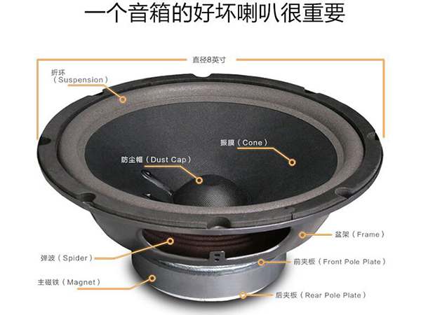 兩分頻專業會議室音響 爵士龍M1音箱