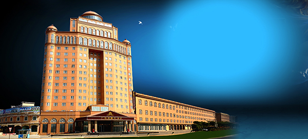 廣東肇慶淶馨國際大酒店工程案例