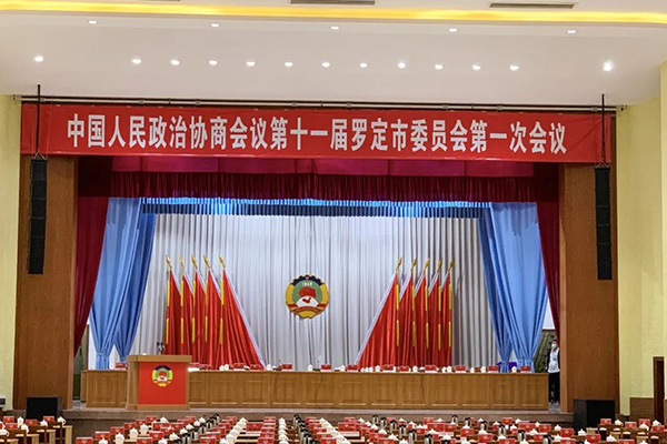 爵士龍K系列有源線陣音箱系統實力助陣羅定市第十七屆人大會議