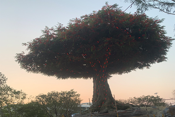 爵士龍戶外音響系統護航廈門某城市公園煥新