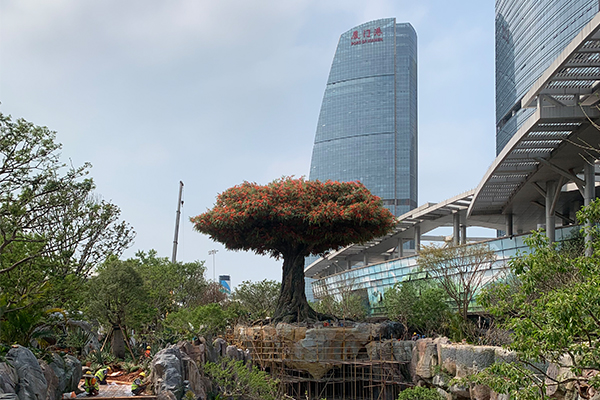 爵士龍戶外音響系統護航廈門某城市公園煥新