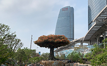 爵士龍戶外音響系統(tǒng)護(hù)航廈門某城市公園煥新 爵士龍戶外音響系統(tǒng)護(hù)航廈門某城市公園煥新